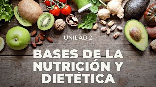 Bases de la nutrición y dietética [upl. by Diane]