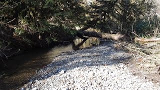 S3E6 Washington State Gold Mining Prospecting Creek 1 wth Pete [upl. by Geralda]