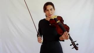 Paganinis Secret  Part 1  A shortcut to violin technique [upl. by Bridges]