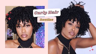 2021 DEFINED CURLY HAIR ROUTINE 3C4A CURLS [upl. by Ransell923]