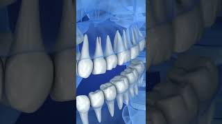 How to Mineralize Teeth Naturally [upl. by Llenehc]