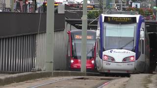 Trams in Den Haag The Hague  Netherlands September 2018 [upl. by Mraz]