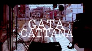 Gata Cattana  Atlanta [upl. by Oram]