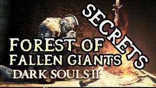 Dark Souls 2 Secrets FOREST OF FALLEN GIANTSCARDINAL TOWER [upl. by Drusi]