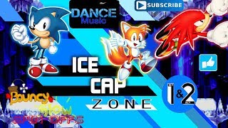 Sonic 3  Ice Cap Zone Act 1 and 2 Dance Remix [upl. by Auqinet390]