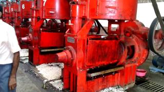 cotton seed 150 ton per day oil extraction plant Gopal expeller Ludhiana [upl. by Notxap]