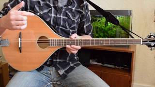 Beginner Irish Bouzouki Lesson  Tuning and First Chords [upl. by Hera]