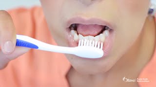 How to Brush Your Teeth [upl. by Nonnah]