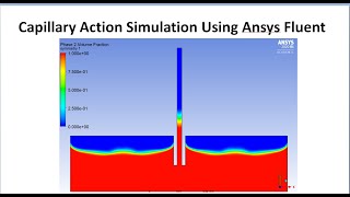 Capillary Action Simulation Using Ansys Fluent [upl. by Tirrell731]