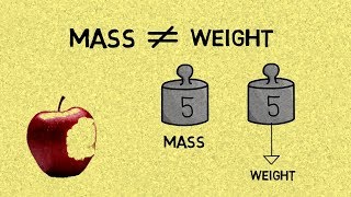 The Difference Between Mass amp Weight [upl. by Ardelia833]