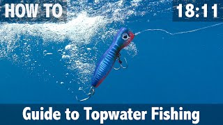 Guide to Topwater Fishing [upl. by Nylinej]