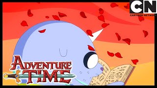 The Diary  Adventure Time  Cartoon Network [upl. by Luella575]