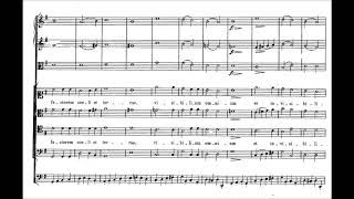 Franz Schubert  Mass No 2 in G major D 167 with score [upl. by Aicirtap]