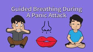 Guided Breathing Exercise Meditation Panic Attacks amp Anxiety [upl. by Lull]