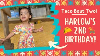 Harlow’s 2nd Birthday Fiesta 🪅 🌮 [upl. by Aneekal608]