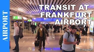 TRANSIT WALK AT FRANKFURT Airport FRA Terminal 1  Connection Flight Transfer Arriving amp Departing [upl. by Ahsyas]