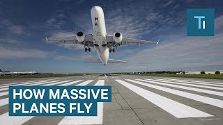 How Massive Airplanes Take Off And Stay In Midair [upl. by Crystie]