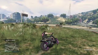 Grand Theft Auto V Pole Skipping [upl. by Calley]