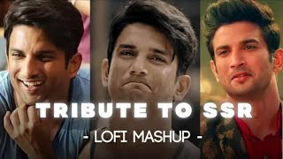 TRIBUTE TO SSR Lofi Mashup  Phir Kabhi × Qaafirana × Jaannisar  Jaz scape  🎧 [upl. by Cusack]