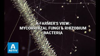 A Farmers View Mycorrhizal Fungi amp Rhizobium Bacteria [upl. by Cline333]