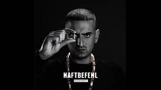 Haftbefehl feat Marteria  Ich Rolle Mit Meim Besten HQ  Lyrics [upl. by Fedak]