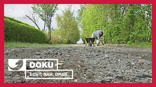 Die Schrebergärtner  Experience  Die Reportage  kabel eins Doku [upl. by Naneek]