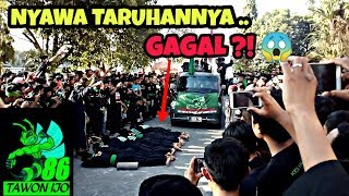 JANGAN DITIRU❗Atraksi Pagar Nusa TAWON IJO diLind4s Mobil [upl. by Eelsel77]